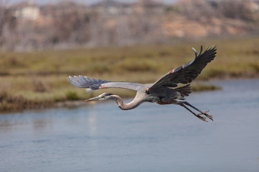 Similar image 11511531