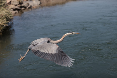 Similar image 11511532