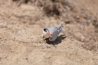 Similar image 11511534