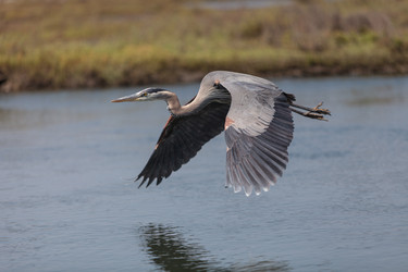 Similar image 11511536