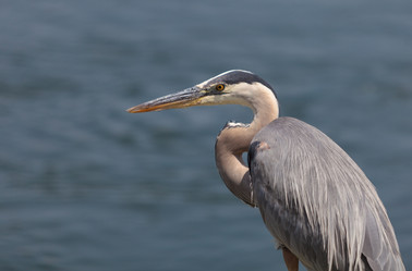 Similar image 11511537