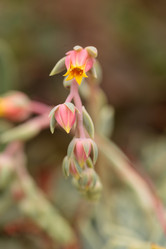 Similar image 11511539