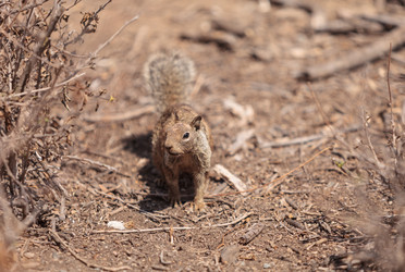 Similar image 11511542