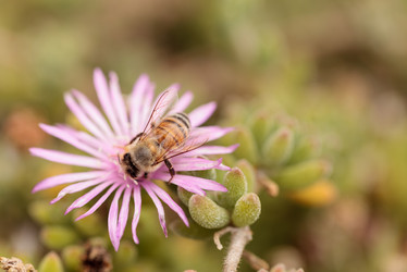 Similar image 11511548