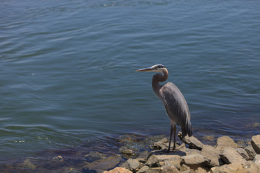 Similar image 11511551