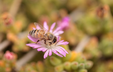 Similar image 11511553