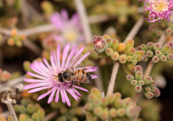 Similar image 11511554