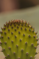 Similar image 11511557