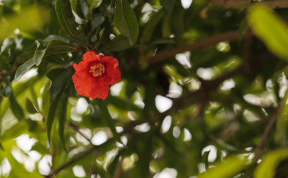 Similar image 11511562