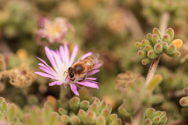 Similar image 11511563