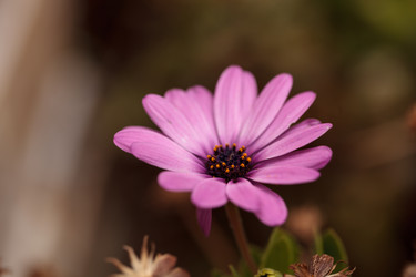 Similar image 11511565