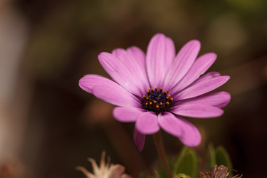 Similar image 11511572