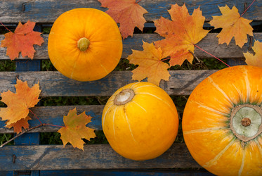 Similar image 11510719