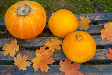 Similar image 11510721