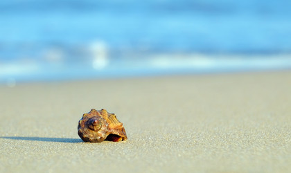 Similar image 11510664