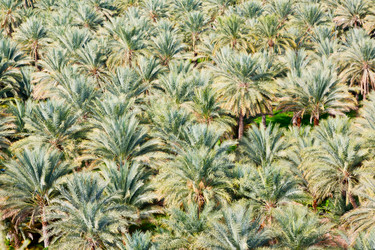 Similar image 11511477