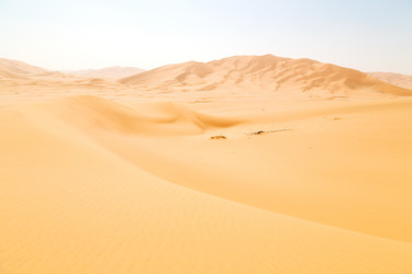 Similar image 11511478