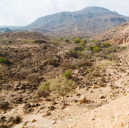 Similar image 11511480