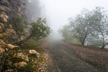 Similar image 11511000