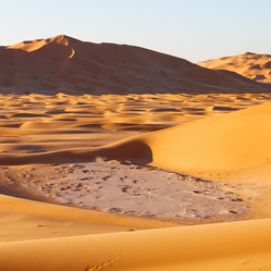 Similar image 11511484