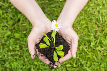 Similar image 11511831