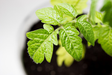 Similar image 11511028