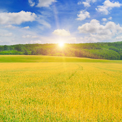 Similar image 11511264