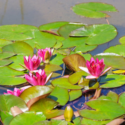 Similar image 11511268