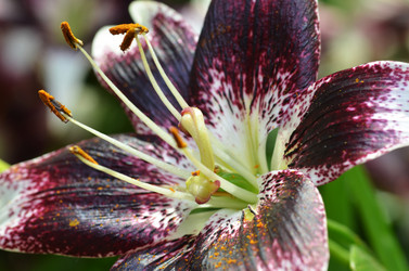 Similar image 11512086