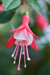 Similar image 11512122