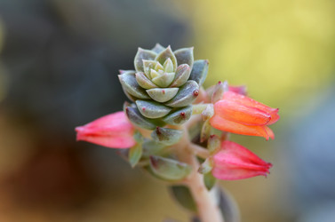 Similar image 11512139