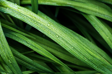 Similar image 11511007