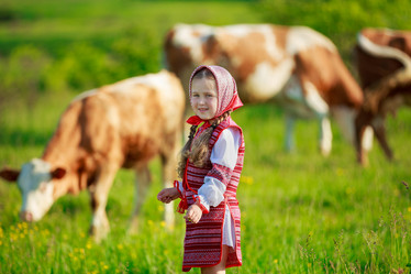 Similar image 11512221