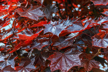 Similar image 11511131