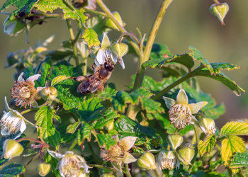 Similar image 11511133