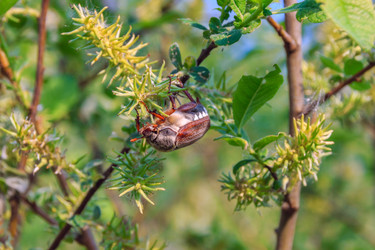 Similar image 11511134