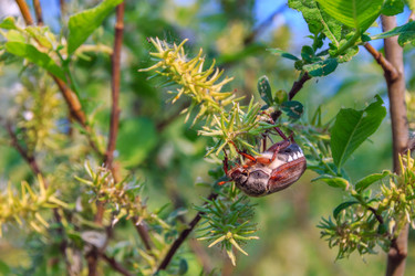 Similar image 11511135