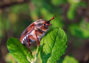 Similar image 11511136