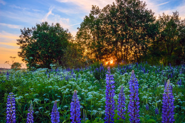 Similar image 11511138