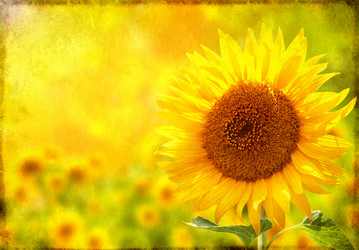 Similar image 11511146