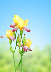 Similar image 11511152