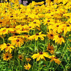 Similar image 11511270