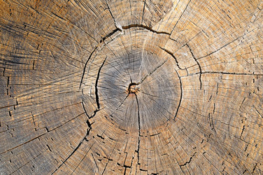 Similar image 11511276