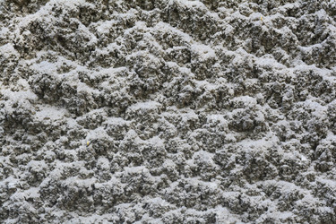 Similar image 11511037