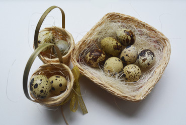 Similar image 11511038