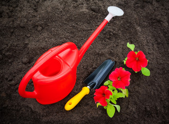 Similar image 11511090