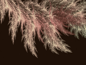 Similar image 11754973