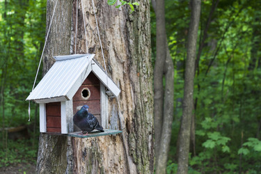 Similar image 11511105