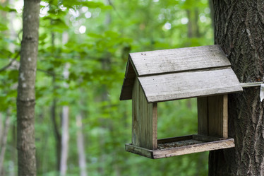 Similar image 11511106