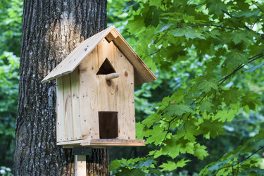 Similar image 11511107